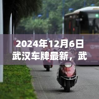 武汉车牌最新动态，探索自然美景之旅，启程寻找内心宁静的港湾之旅（2024年）