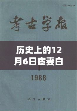 历史上的12月6日与宦妻白芸最新章节揭秘