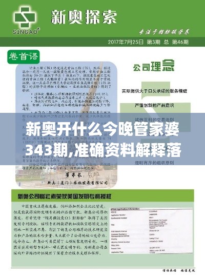 新奥开什么今晚管家婆343期,准确资料解释落实_冒险款3.354