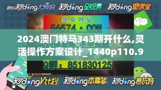 2024澳门特马343期开什么,灵活操作方案设计_1440p110.901