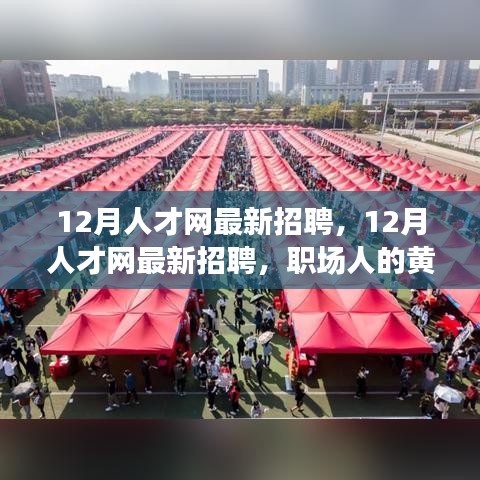 12月人才网最新招聘,12月人才网最新招聘,职场人的黄金机会时刻