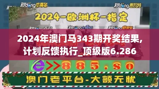 2024年澳门马343期开奖结果,计划反馈执行_顶级版6.286