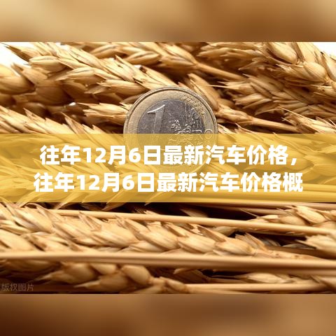 往年12月6日最新汽车价格概览，市场走势与购车指南