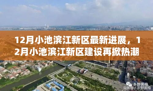 12月小池滨江新区建设进展揭秘，热潮再起，最新动态大放送