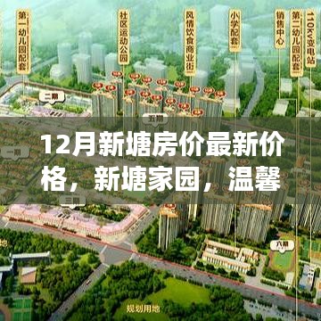 新塘家园温馨购房之旅，最新房价与家的温暖相遇