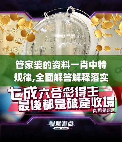 管家婆的资料一肖中特规律,全面解答解释落实_Phablet12.132