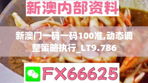 新澳门一码一码100准,动态调整策略执行_LT9.786