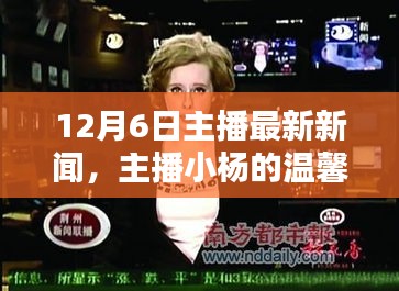 主播小杨的温馨播报日，最新新闻与快乐新闻时光在12月6日