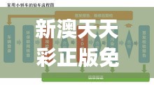 新澳天天彩正版免费资料观看,决策资料解释落实_MR6.849