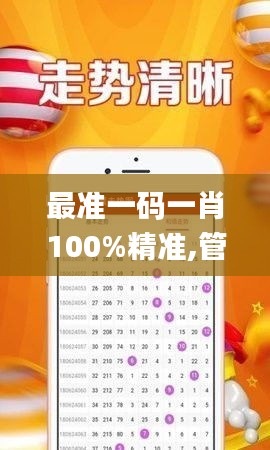 最准一码一肖100%精准,管家婆大小中特,未来解答解释定义_创新版2.878