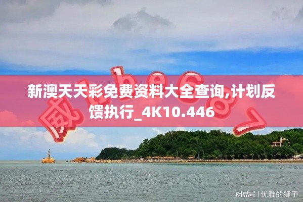 新澳天天彩免费资料大全查询,计划反馈执行_4K10.446