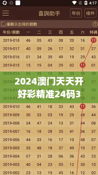2024澳门天天开好彩精准24码343期,效率资料解释落实_Mixed1.722