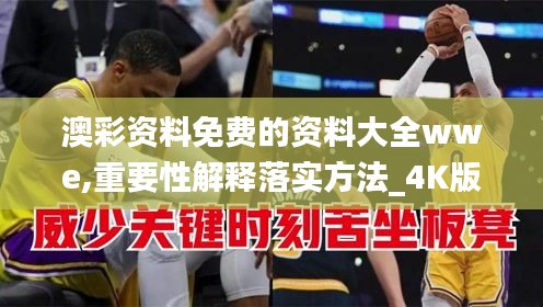 澳彩资料免费的资料大全wwe,重要性解释落实方法_4K版4.134