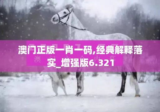 澳门正版一肖一码,经典解释落实_增强版6.321