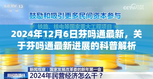 芬吗通最新进展科普解析（2024年12月6日更新版）