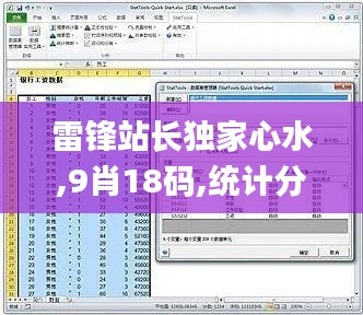 雷锋站长独家心水,9肖18码,统计分析解释定义_NE版2.416