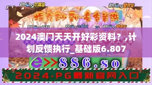2024澳门天天开好彩资料？,计划反馈执行_基础版6.807