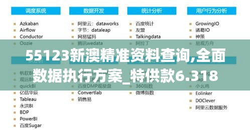 55123新澳精准资料查询,全面数据执行方案_特供款6.318