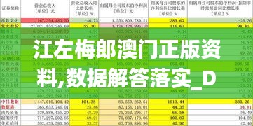 江左梅郎澳门正版资料,数据解答落实_DX版19.832