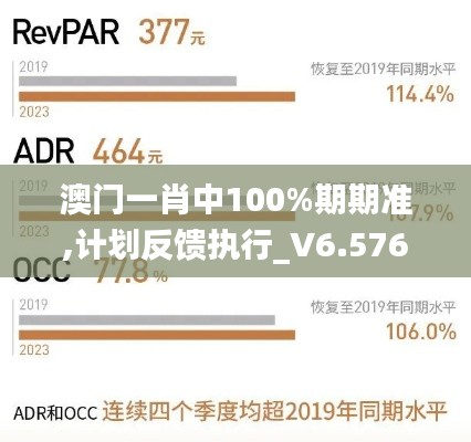 澳门一肖中100%期期准,计划反馈执行_V6.576
