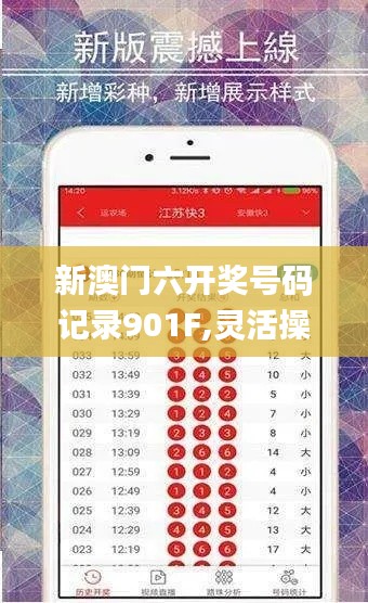 新澳门六开奖号码记录901F,灵活操作方案设计_Surface9.476