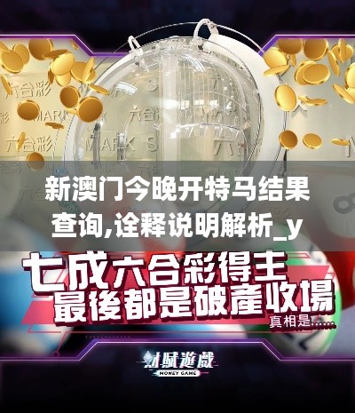 新澳门今晚开特马结果查询,诠释说明解析_yShop4.509