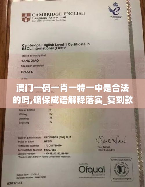 澳门一码一肖一特一中是合法的吗,确保成语解释落实_复刻款7.434