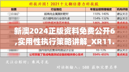 新澳2024正版资料免费公开6,实用性执行策略讲解_XR11.473