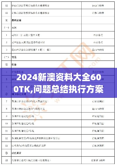 2024新澳资料大全600TK,问题总结执行方案_入门版9.545