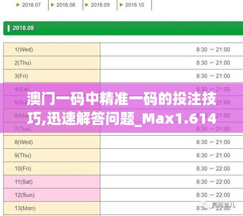 澳门一码中精准一码的投注技巧,迅速解答问题_Max1.614