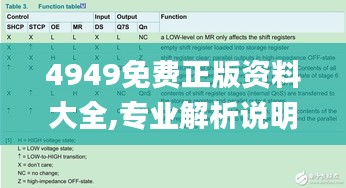 4949免费正版资料大全,专业解析说明_1080p1.785