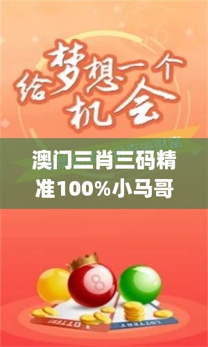 澳门三肖三码精准100%小马哥,效率资料解释落实_Advance16.458