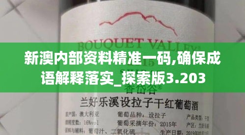 新澳内部资料精准一码,确保成语解释落实_探索版3.203