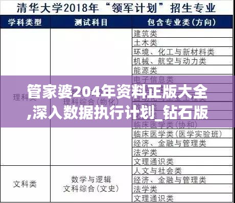 管家婆204年资料正版大全,深入数据执行计划_钻石版11.270
