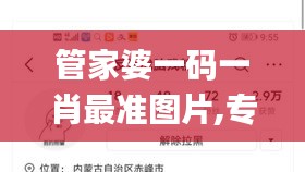 管家婆一码一肖最准图片,专业解析说明_挑战款14.349
