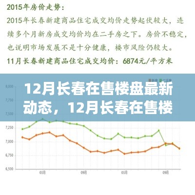 深度解析，长春楼盘最新动态与未来市场走向预测