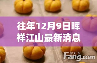 往年12月9日晖祥江山最新动态解析，变革与争议焦点关注