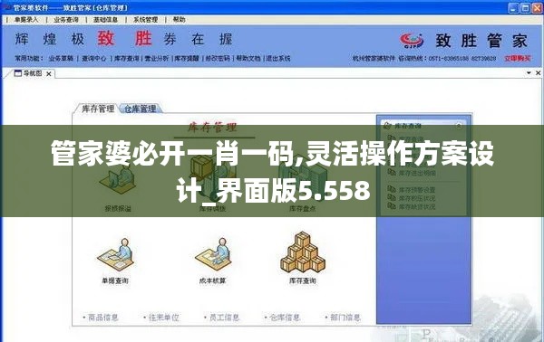 管家婆必开一肖一码,灵活操作方案设计_界面版5.558