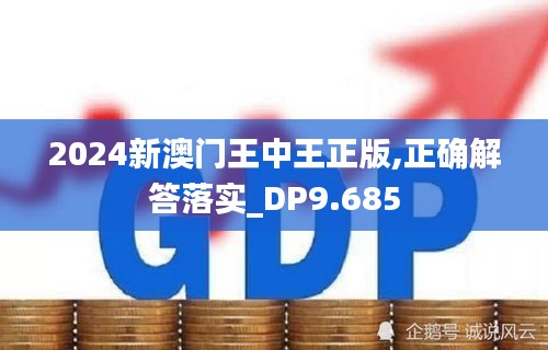 2024新澳门王中王正版,正确解答落实_DP9.685