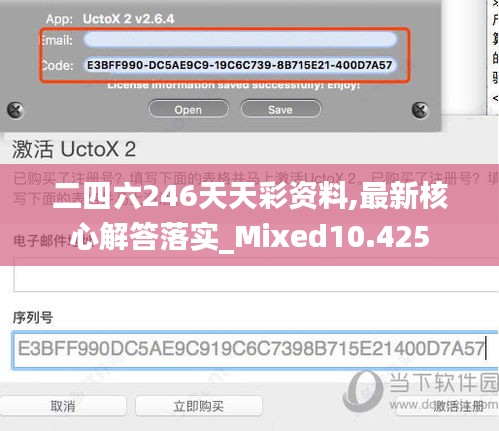 二四六246天天彩资料,最新核心解答落实_Mixed10.425