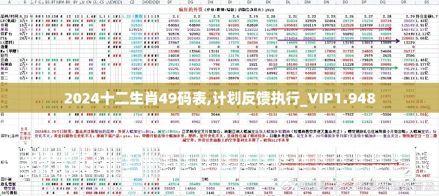 2024十二生肖49码表,计划反馈执行_VIP1.948