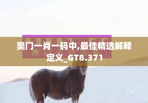 奥门一肖一码中,最佳精选解释定义_GT8.371