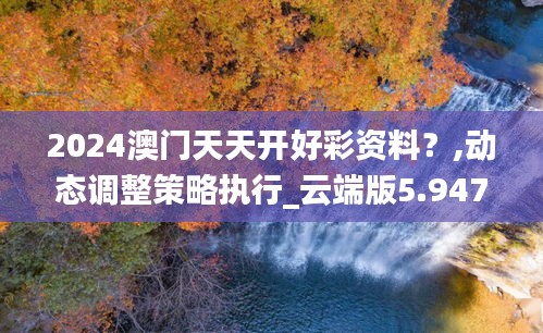 2024澳门天天开好彩资料？,动态调整策略执行_云端版5.947