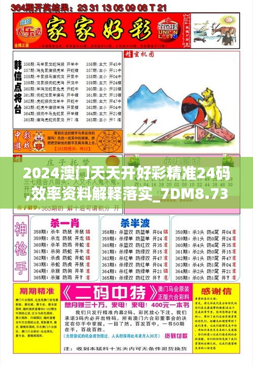 2024澳门天天开好彩精准24码,效率资料解释落实_7DM8.733