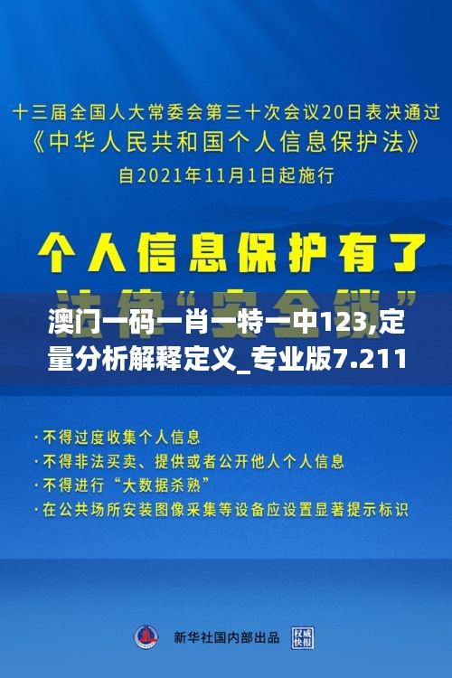 澳门一码一肖一特一中123,定量分析解释定义_专业版7.211
