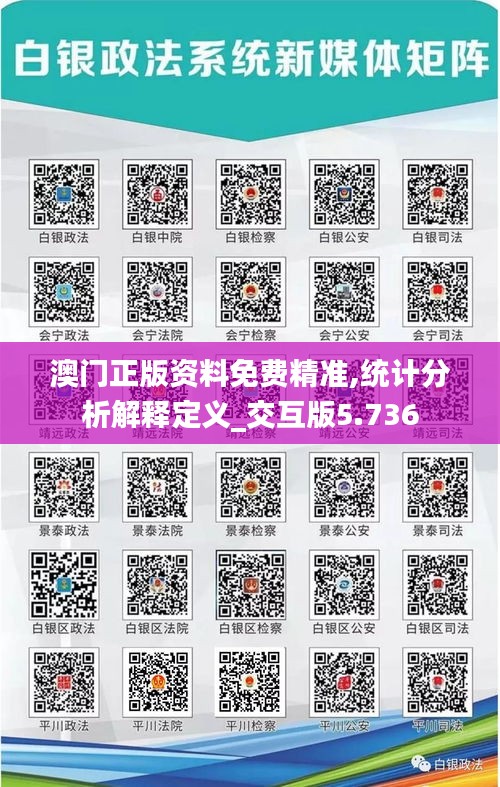 澳门正版资料免费精准,统计分析解释定义_交互版5.736