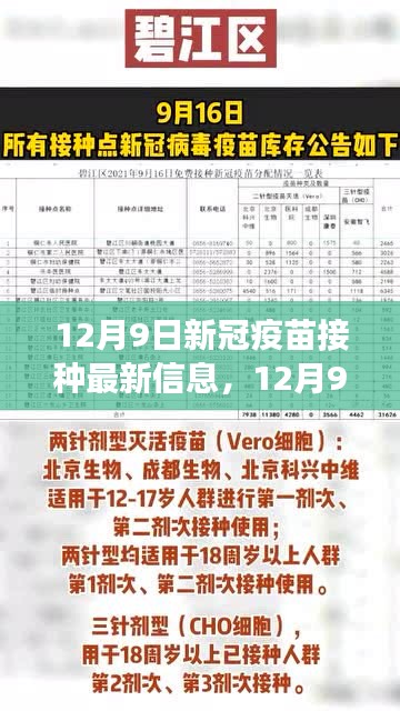 新冠疫苗接种最新进展及注意事项全面解读(截至12月9日)