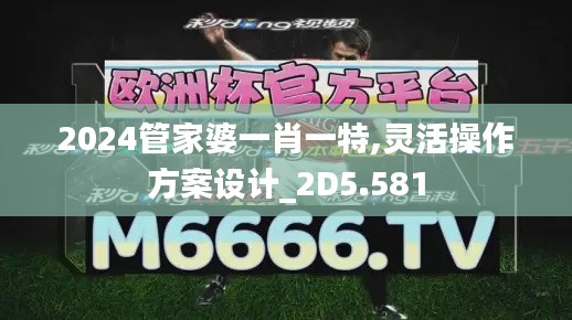2024管家婆一肖一特,灵活操作方案设计_2D5.581