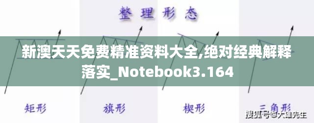 新澳天天免费精准资料大全,绝对经典解释落实_Notebook3.164