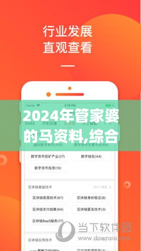 2024年管家婆的马资料,综合分析解释定义_豪华款3.688